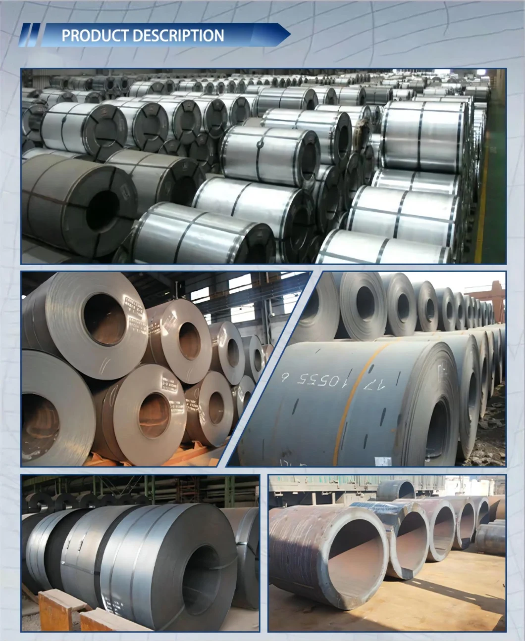 Carbon Steel Sheet/Plate/Coil/Bar/Rod/Pipe/Tube/Ss400/Ss490/Q235/Q355QS235jr/S355jr with Best Price